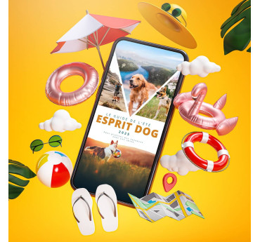 Le Guide de l'été 2025 - Esprit Dog