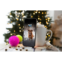 Le Guide de l'hiver - Esprit Dog