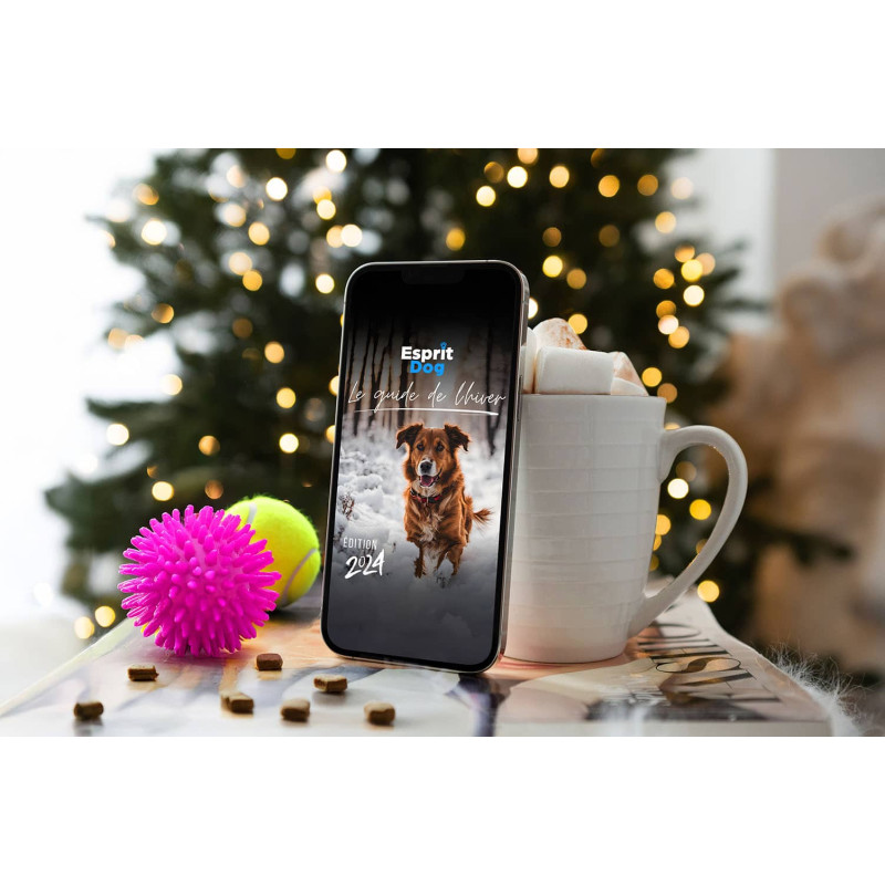 Le Guide de l'hiver - Esprit Dog