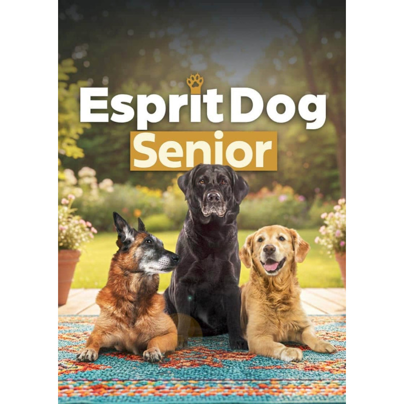 Prendre soin de son vieux chien : formation 100 % en ligne !
