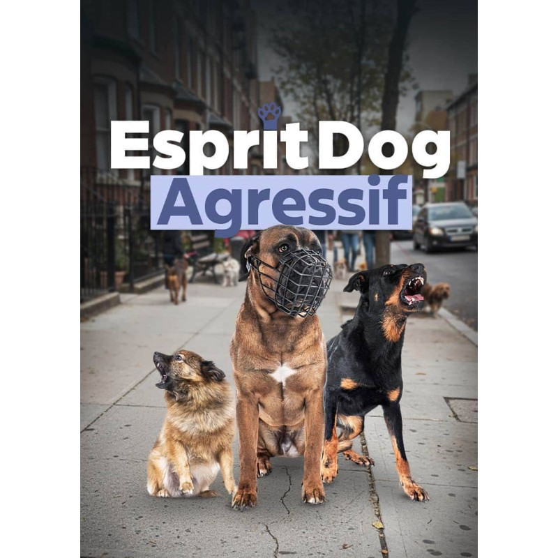Chien agressif, que faire ? La formation 100 % en ligne