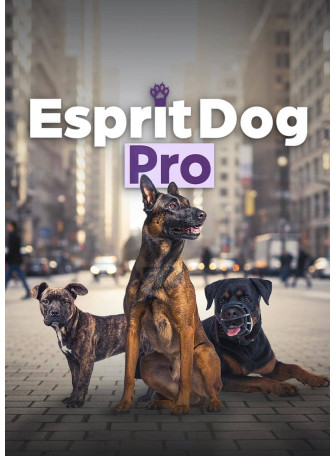 Devenez éducateur canin ! Découvrez notre formation en ligne !