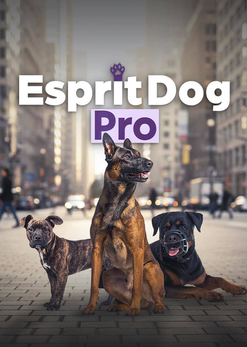 Esprit Dog Pro en ligne