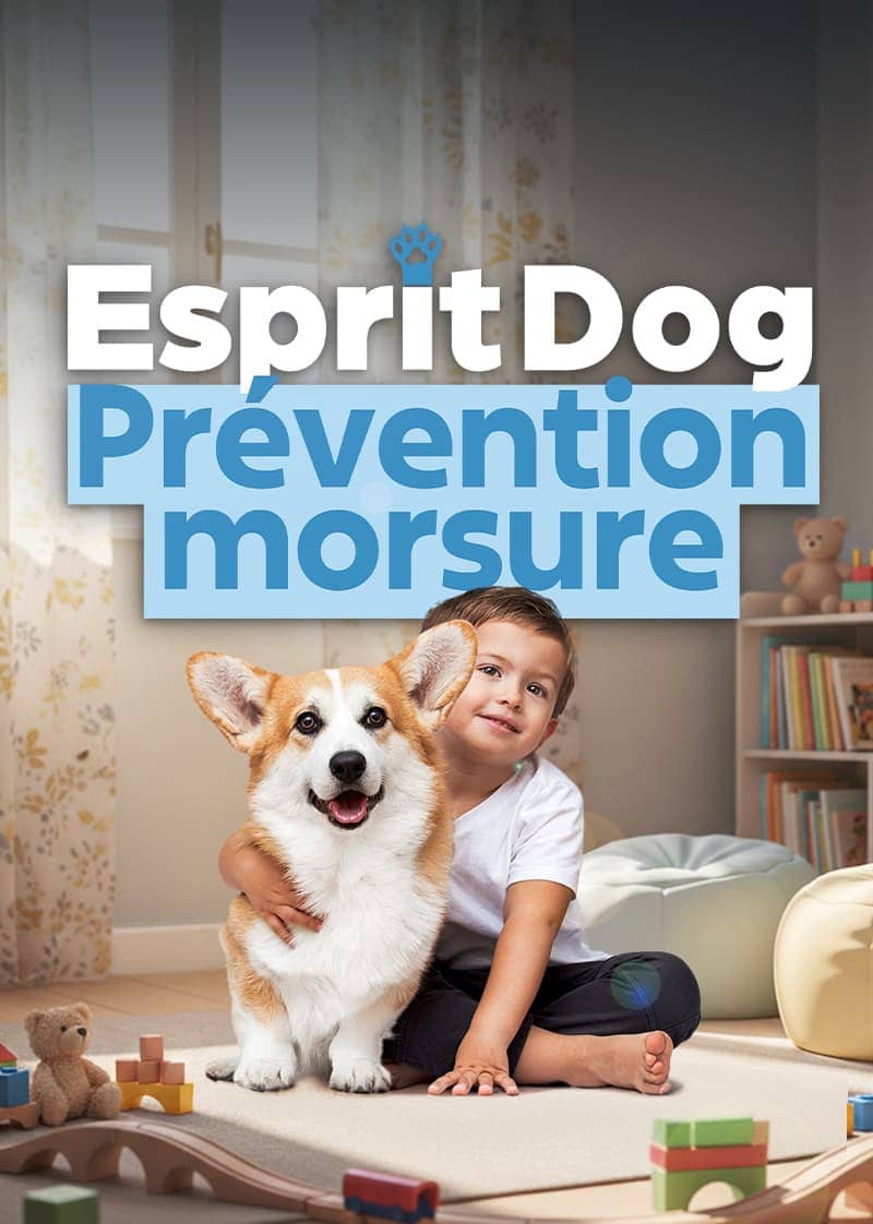 Prévention Morsure