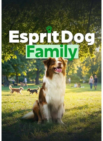 Comment éduquer un chien ? Découvrez notre formation en ligne !