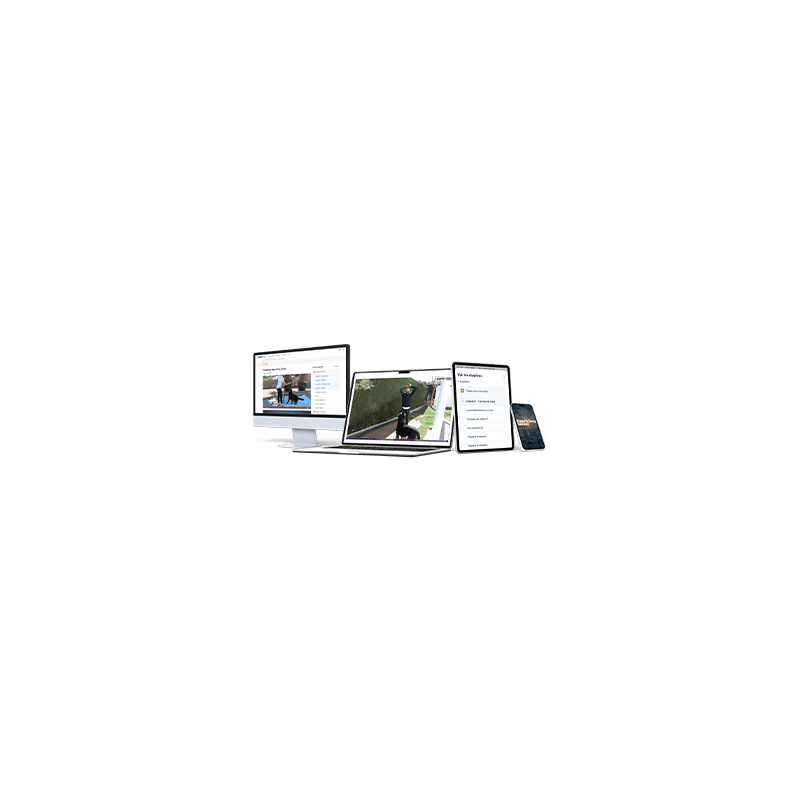 Prendre soin de son vieux chien : formation 100 % en ligne !