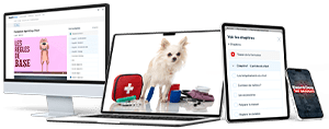 Sauvez votre chien ! Découvrez notre formation en ligne !
