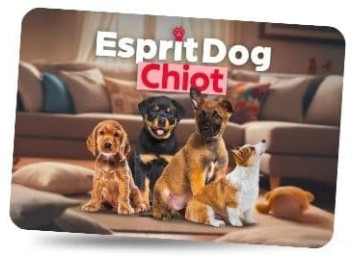 Esprit Dog Chiot