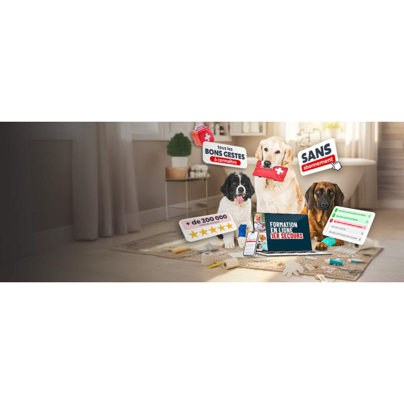 Sauvez votre chien ! Découvrez notre formation en ligne !
