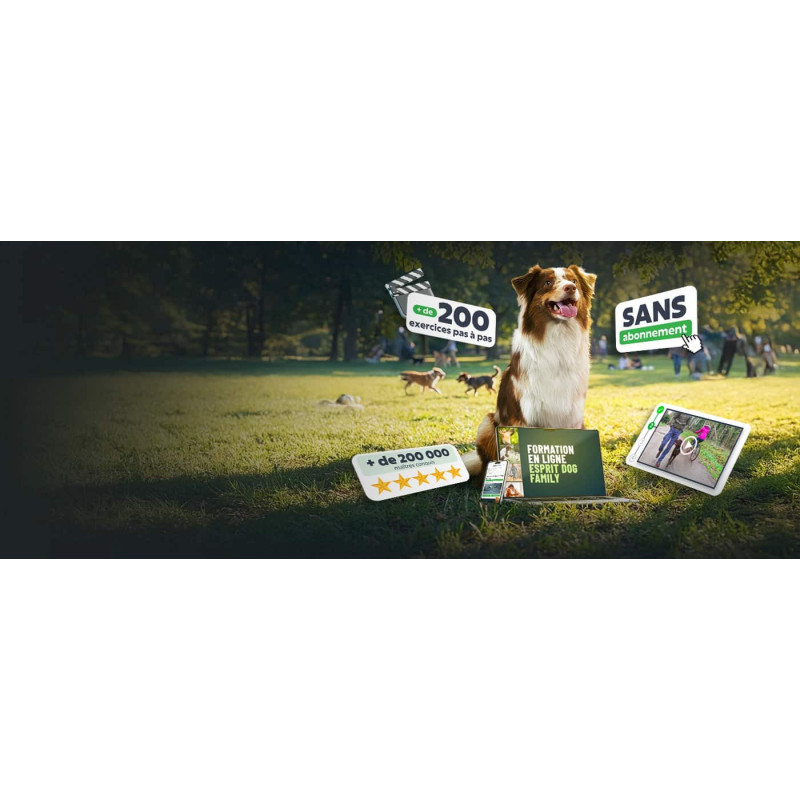 Comment éduquer un chien ? Découvrez notre formation en ligne !