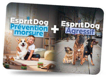 Esprit Dog Pack Prévention Morsure + Agressif