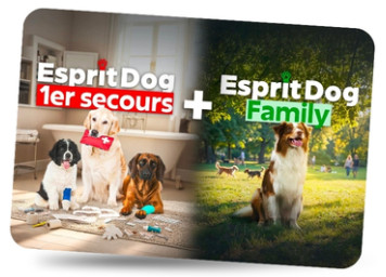 Esprit Dog Pack 1er Secours + Family