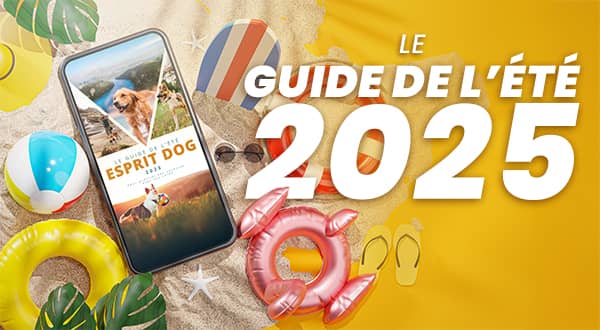 Téléchargez le Guide de l'été 2025 par Esprit Dog