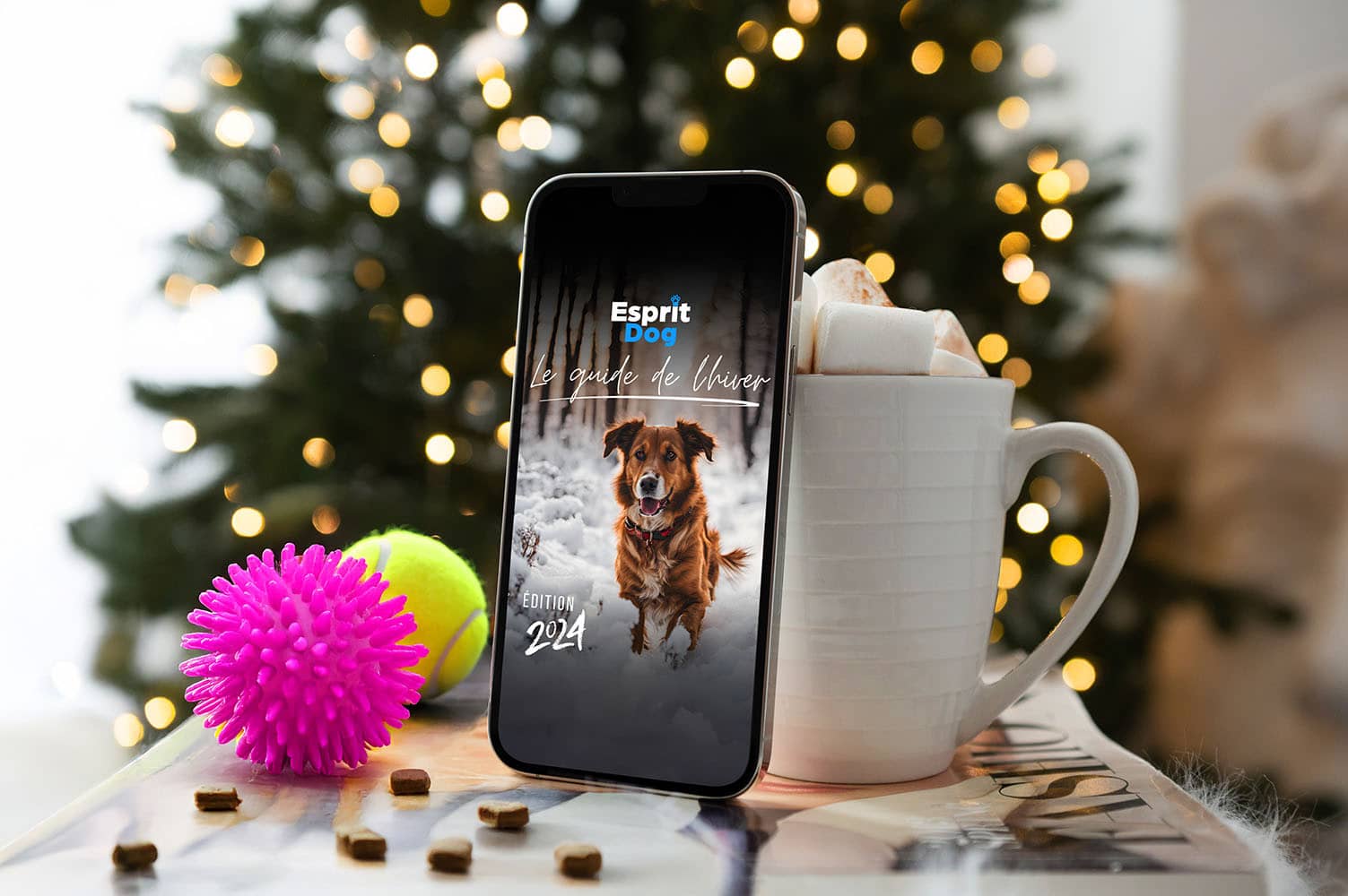 Téléchargez le Guide de l'hiver 2024 par Esprit Dog