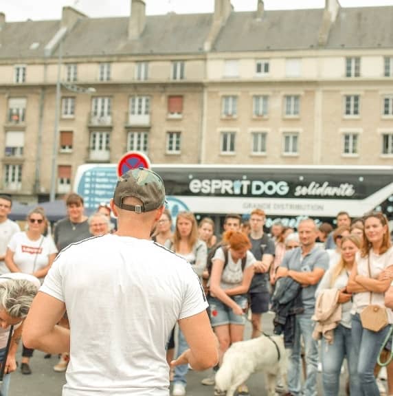 CP Esprit Dog Solidarité