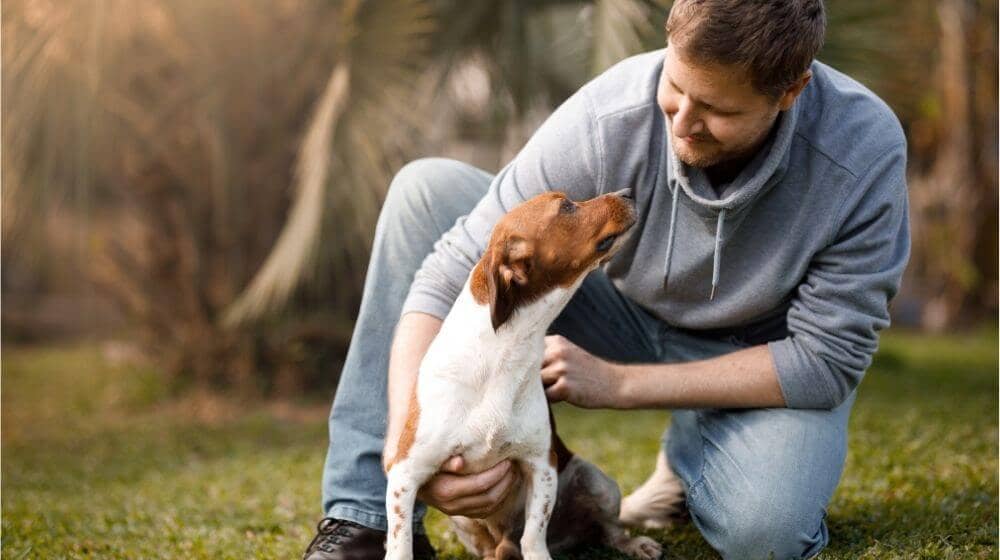 Un homme caresse son chien dans un parc
