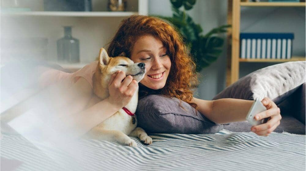 Une influenceuse filme une vidéo sur un lit avec son chien Shiba Inu