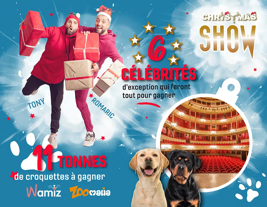 Tony Silvestre et Romaric Pagot présentent l'évènement Esprit Dog Christmas Show