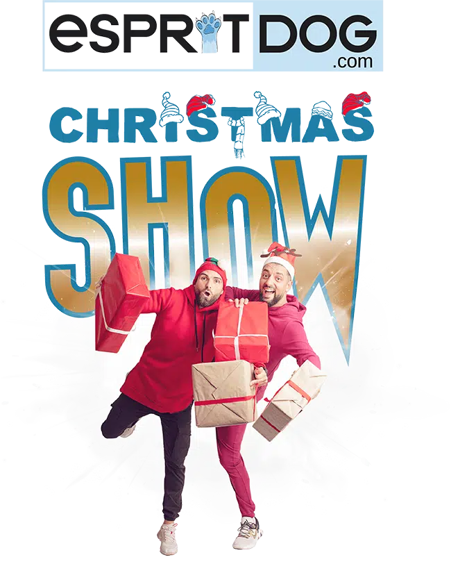 Affiche de l'évènement Esprit Dog Christmas Show avec Tony Silvestre et Romaric Pagot