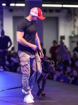 L'éducateur canin Tony Silvestre rééduque un Cane Corso agressif pendant l'évènement Esprit Dog Show