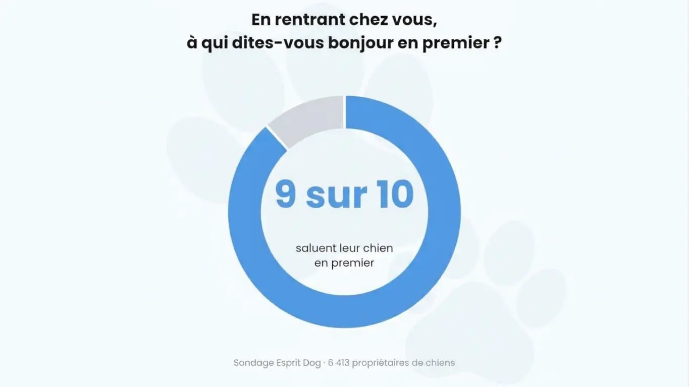 Graphique illustrant les réponses à la question :