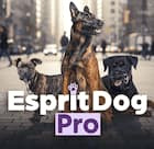 Esprit Dog 1er secours