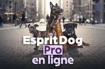 Esprit Dog Pro en ligne