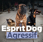 Esprit Dog Chien agressif