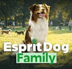 Esprit Dog Family