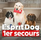 Esprit Dog 1er secours
