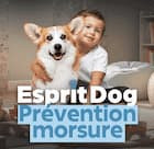 Esprit Dog Prévention Morsure