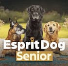 Esprit Dog Sénior