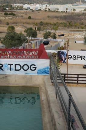 Le centre de formation Esprit Dog