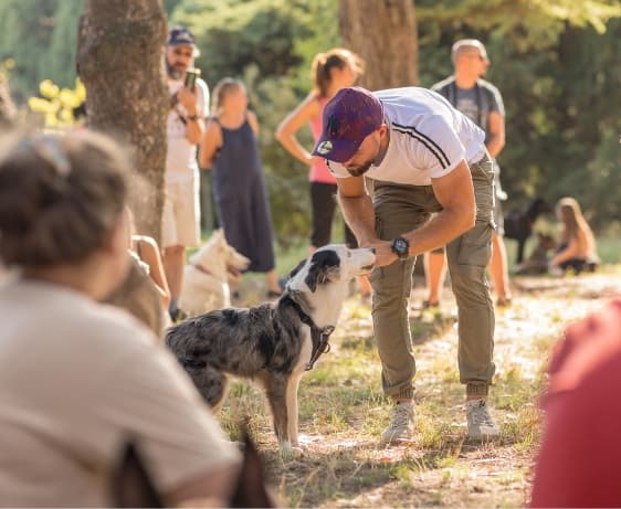 Devenez <br> éducateur canin <br> comportementaliste avec Esprit Dog