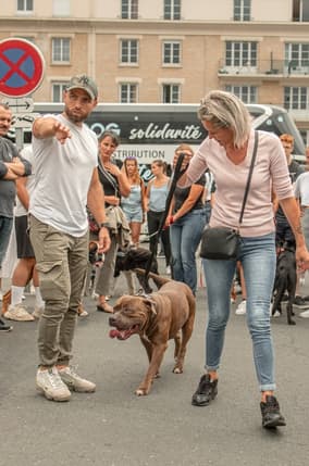 Les chiens n’auront plus aucun secret pour vous !