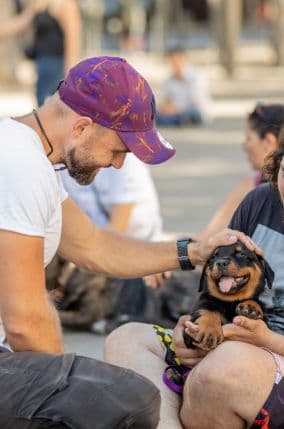 Les actions Esprit Dog pour la cause animale