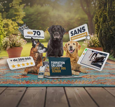 Esprit Dog Senior