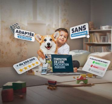 Esprit Dog Prévention Morsure