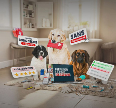 Esprit Dog 1er Secours