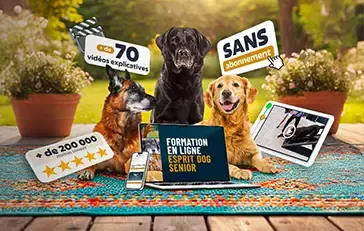 Esprit Dog Senior