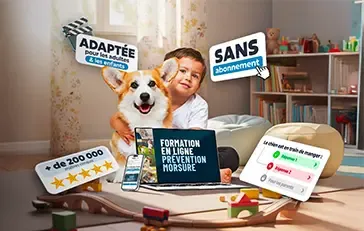 Esprit Dog Prévention Morsure