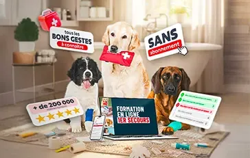 Esprit Dog 1er Secours