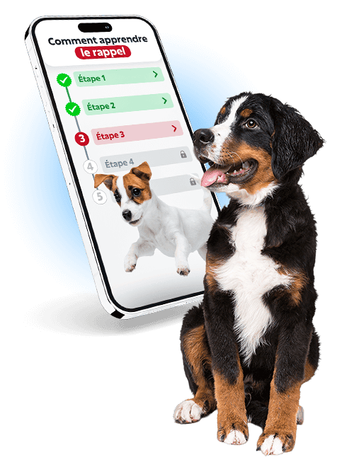 La formation canine pour tous les chiots par Esprit Dog