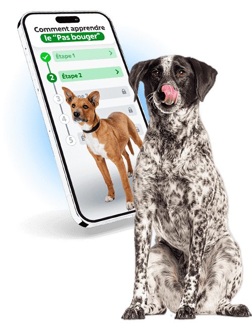 La méthode d’éducation canine vue par Esprit Dog