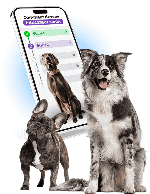 Devenez éducateur canin professionnel avec Esprit Dog Pro