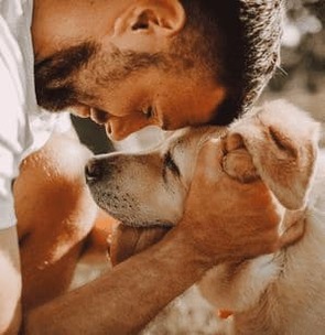 Pas d’abonnement ! <br>Achetez Esprit Dog Senior