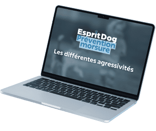 <p>Accessible &agrave; tous ceux qui veulent comprendre leur chien, avoir une explication claire sur leur comportement et vivre sereinement avec lui tout au long de sa vie, sans accident de morsure.</p>