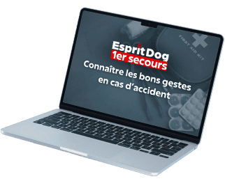 <p>Apprenez &agrave; sauver votre chien et &agrave; r&eacute;agir face &agrave; tout &eacute;v&eacute;nement urgent gr&acirc;ce &agrave; des conseils pour rep&eacute;rer les situations graves.</p>
