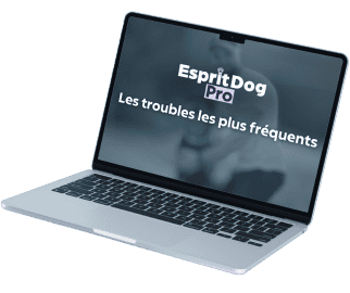 <p>Accessible &agrave; tous, la formation Esprit Dog Pro vous permettra d'acqu&eacute;rir toutes les connaissances th&eacute;oriques n&eacute;cessaires pour &ecirc;tre un bon &eacute;ducateur canin hors du commun et de faire un pas vers une nouvelle orientation professionnelle.</p>