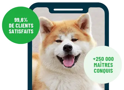 Formation en ligne Esprit Dog Family sur smartphone avec un chien de race Akita Inu